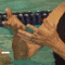 ߓ}WbN