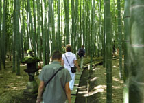 報国寺(竹寺)